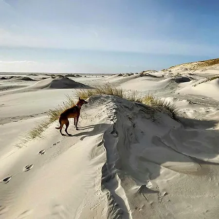 Spacious With Garden On Amrum Semesterbostad *