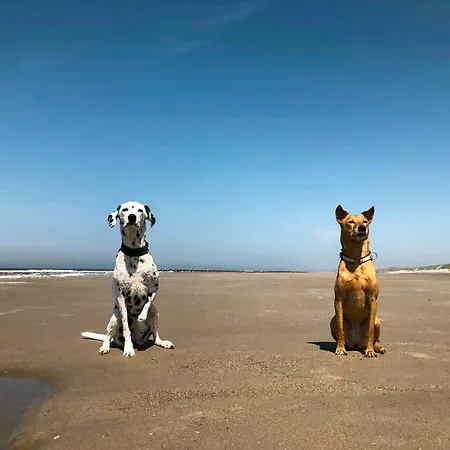 Spacious With Garden On Amrum בית נופש Wittdün