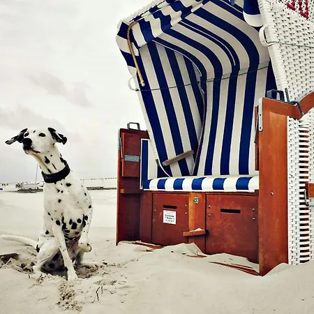 Spacious With Garden On Amrum Wittdün