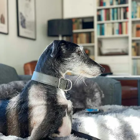 Spacious With Garden On Amrum בית נופש