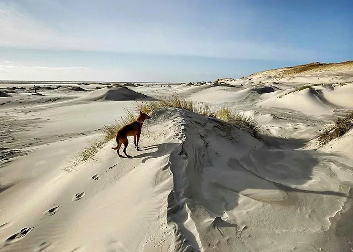 Spacious With Garden On Amrum Semesterbostad *