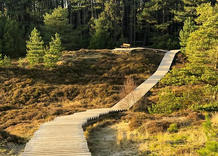Semesterbostad Spacious With Garden On Amrum *
