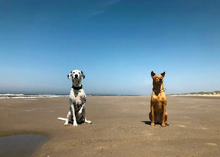 Spacious With Garden On Amrum Semesterbostad Wittdün
