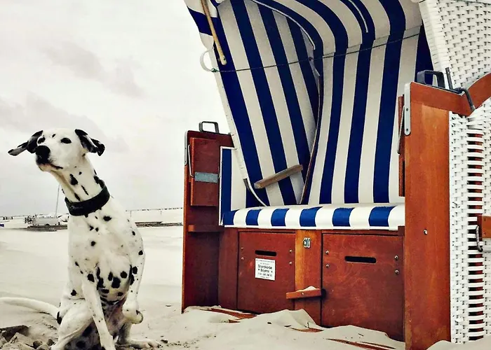 Spacious With Garden On Amrum Wittdün