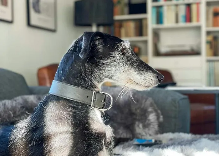 Spacious With Garden On Amrum Semesterbostad